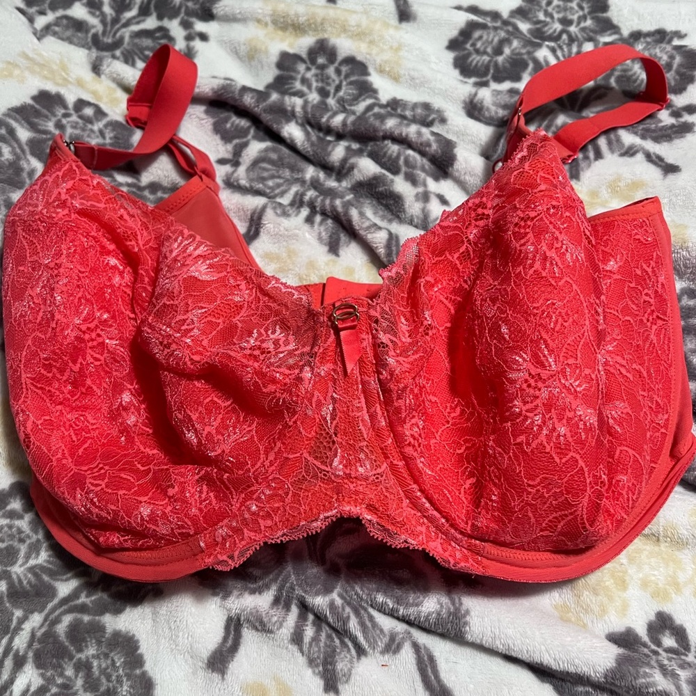 Elomi Brianna Padded Half-Cup Bra